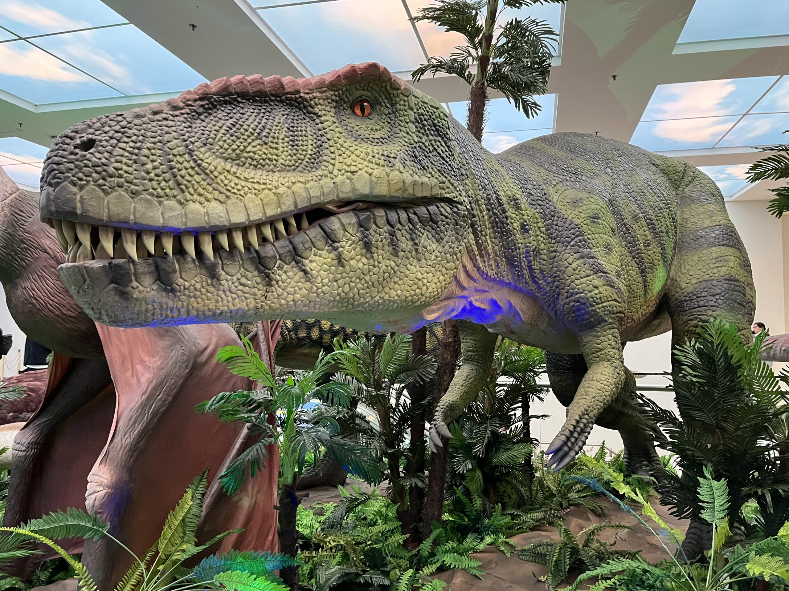 Morumbishopping Recebe Exposi O De Dinossauros Trendschk