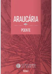 LOccitane-au-Brésil-relança-linha-de-fragrancias-masculinas-inspirada-na-Mata-das-araucarias-neste-dia-dos-pais