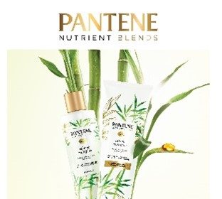 pantene-lança-coleção-nutrient-blends-primeira-linha-premium-especializada-da-marca